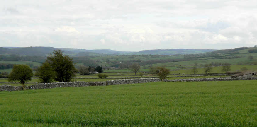 From Pennyunk Lane From Pennyunk Lane